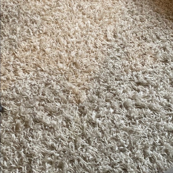 Meet your Posher, Rochelle - Picture 1 of 1